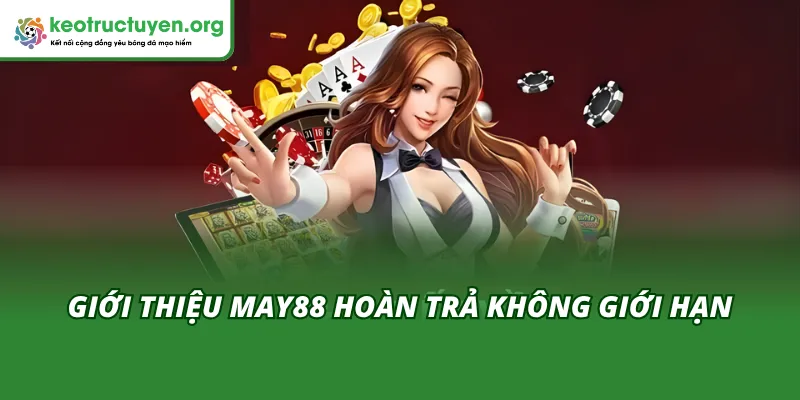 Tìm hiểu sơ lược về hoàn trả không giới hạn 