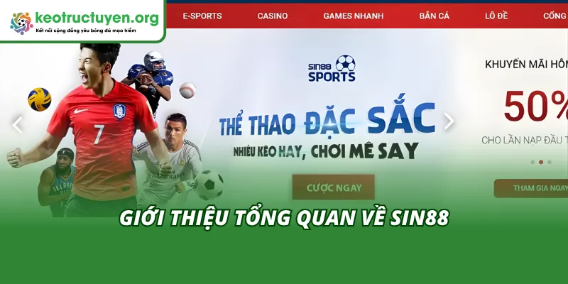 Tổng quan về sin88