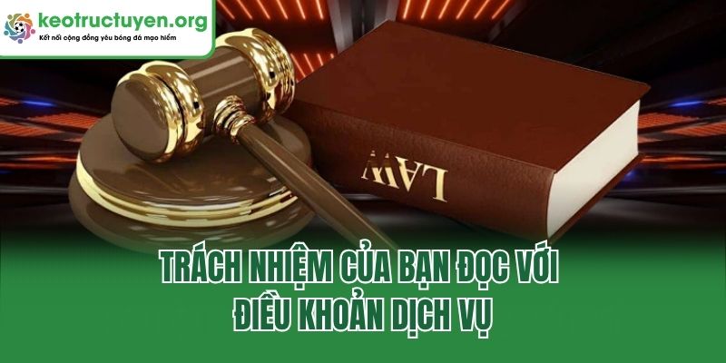 Trách nhiệm của bạn đọc với điều khoản dịch vụ