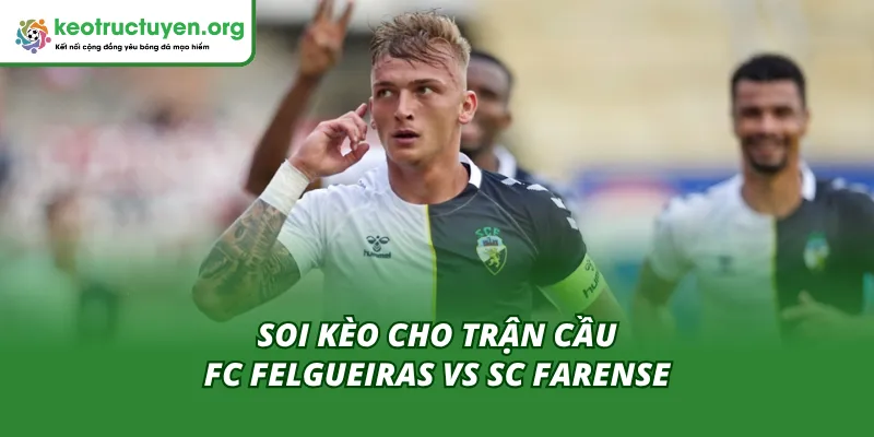 Nhận định và đoán kết quả trận FC Felgueiras – SC Farense