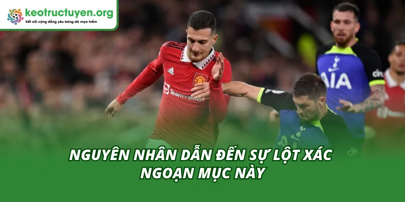 Lý do khiến Dalot lột xác ngoạn mục dưới thời Carrick