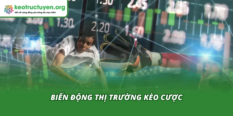 Biến động kèo cược khi CAN Cup chuyển từ đông sang hè